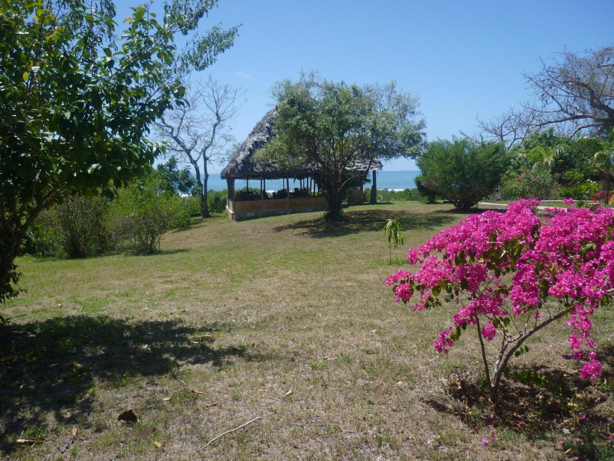 Bahari Pori Resort Pangani Dış mekan fotoğraf